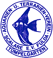 Logo Scalare Fulda